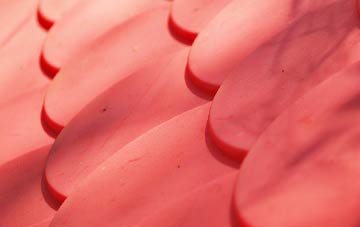 Hutton Buscel plastic roof costs