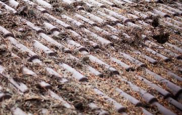 Hutton Buscel roof cleaning companies